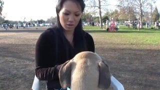 Slutty Dame Annie Cruz Allures With Her Box