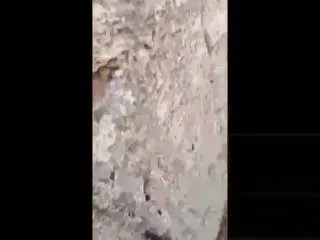 Radiant Star Vanessa Decker Desires It Dirty