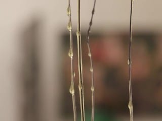 Angelic Baby Stripper Loves To Toy Her Ass