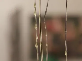 Angelic Baby Stripper Loves To Toy Her Ass